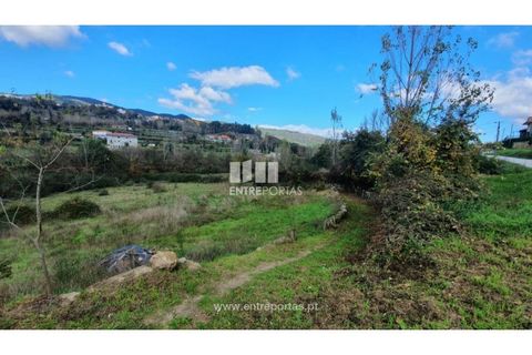 Tomt i Baiao, Porto, Baiao - € 82 000 | Ref: MC08100 - foto 13