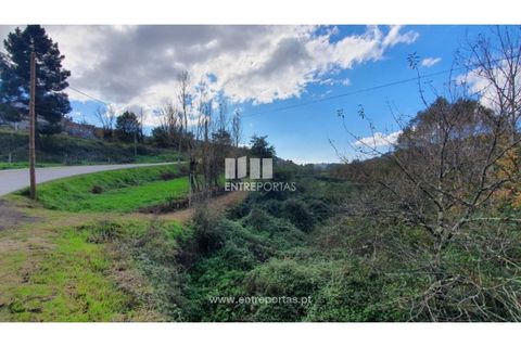 Tomt i Baiao, Porto, Baiao - € 82 000 | Ref: MC08100 - foto 19