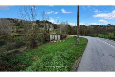 Tomt i Baiao, Porto, Baiao - € 82 000 | Ref: MC08100 - foto 21