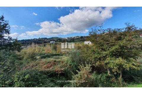 Tomt i Baiao, Porto, Baiao - € 82 000 | Ref: MC08100 - foto 22