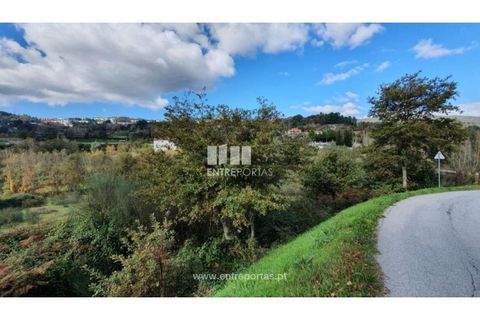 Tomt i Baiao, Porto, Baiao - € 82 000 | Ref: MC08100 - foto 23
