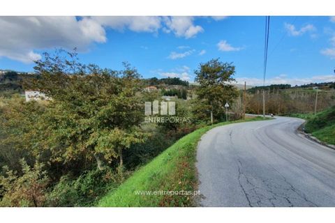 Tomt i Baiao, Porto, Baiao - € 82 000 | Ref: MC08100 - foto 24