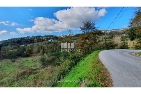Tomt i Baiao, Porto, Baiao - € 82 000 | Ref: MC08100 - foto 26