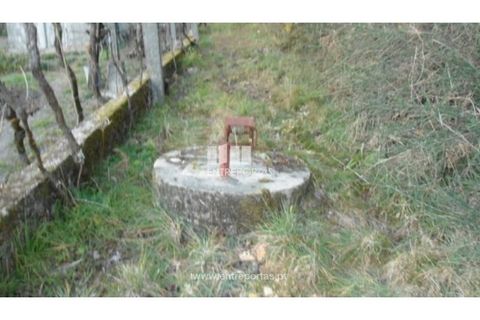 Terra a Ancede e Ribadouro, Porto, Ancede e Ribadouro - € 40.000 | Ref: MC05379 - foto 3