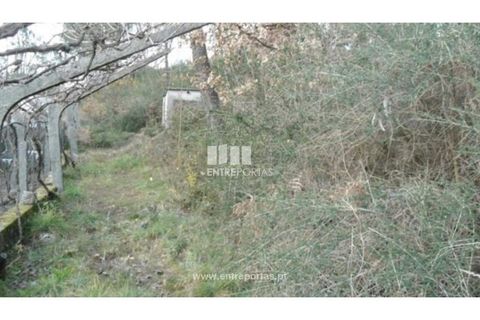 Terra a Ancede e Ribadouro, Porto, Ancede e Ribadouro - € 40.000 | Ref: MC05379 - foto 4