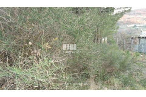 Terra a Ancede e Ribadouro, Porto, Ancede e Ribadouro - € 40.000 | Ref: MC05379 - foto 6
