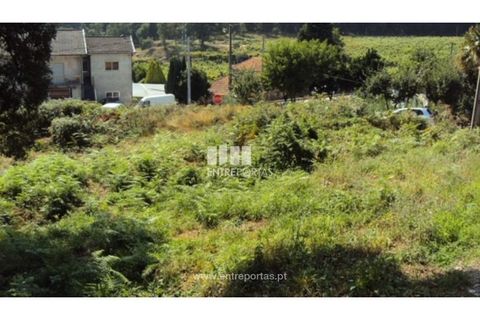 Terra a Airaes, Porto, Airaes - € 95.000 | Ref: MC05483 - foto 2