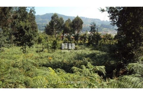 Terra a Airaes, Porto, Airaes - € 95.000 | Ref: MC05483 - foto 4