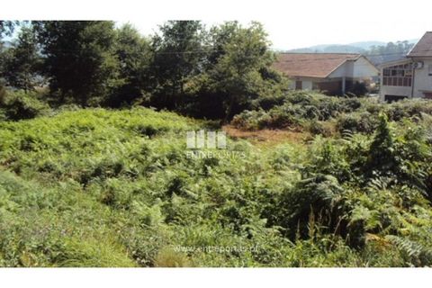 Terra a Airaes, Porto, Airaes - € 95.000 | Ref: MC05483 - foto 5