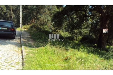 Terra a Airaes, Porto, Airaes - € 95.000 | Ref: MC05483 - foto 6