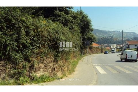 Terra a Airaes, Porto, Airaes - € 95.000 | Ref: MC05483 - foto 7