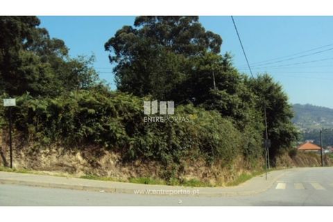 Terra a Airaes, Porto, Airaes - € 95.000 | Ref: MC05483 - foto 8