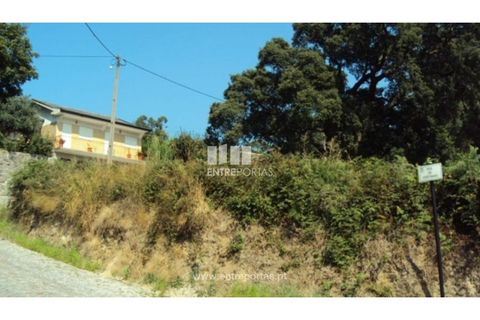 Terra a Airaes, Porto, Airaes - € 95.000 | Ref: MC05483 - foto 9