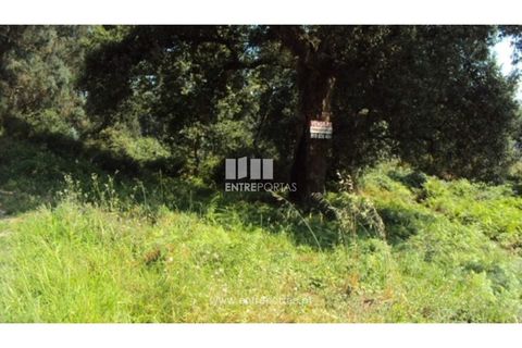 Terra a Airaes, Porto, Airaes - € 95.000 | Ref: MC05483 - foto 11
