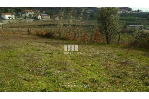 Helårsgrund i Baiao, Porto, Baiao - € 22.500 | Ref: MC05711 - foto 1