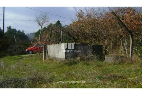 Helårsgrund i Baiao, Porto, Baiao - € 22.500 | Ref: MC05711 - foto 3