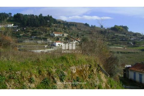 Helårsgrund i Baiao, Porto, Baiao - € 22.500 | Ref: MC05711 - foto 6