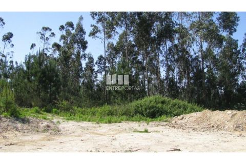 Helårsgrund i Vila do Conde, Porto, Vila do Conde - € 88.000 | Ref: VC00512 - foto 7
