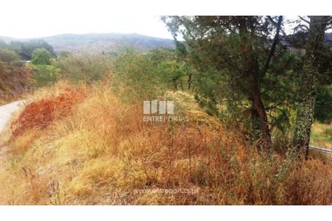 Helårsgrund i Ancede e Ribadouro, Porto, Ancede e Ribadouro - € 32.500 | Ref: MC05854 - foto 2