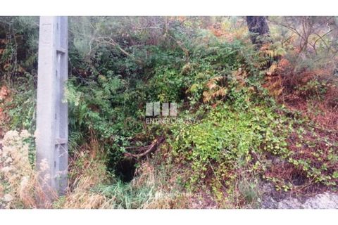 Helårsgrund i Ancede e Ribadouro, Porto, Ancede e Ribadouro - € 32.500 | Ref: MC05854 - foto 3