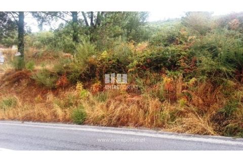 Helårsgrund i Ancede e Ribadouro, Porto, Ancede e Ribadouro - € 32.500 | Ref: MC05854 - foto 5