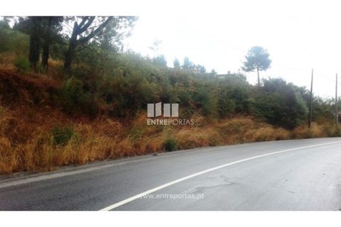 Helårsgrund i Ancede e Ribadouro, Porto, Ancede e Ribadouro - € 32.500 | Ref: MC05854 - foto 6