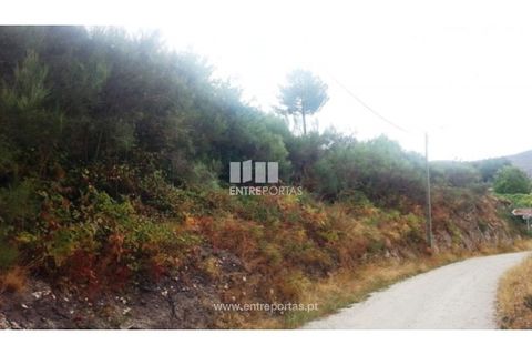 Helårsgrund i Ancede e Ribadouro, Porto, Ancede e Ribadouro - € 32.500 | Ref: MC05854 - foto 7