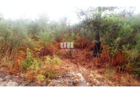 Helårsgrund i Ancede e Ribadouro, Porto, Ancede e Ribadouro - € 32.500 | Ref: MC05854 - foto 8