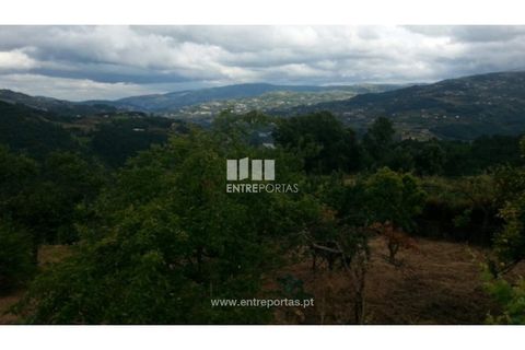 Helårsgrund i Baiao, Porto, Baiao - € 45.000 | Ref: MC05874 - foto 2