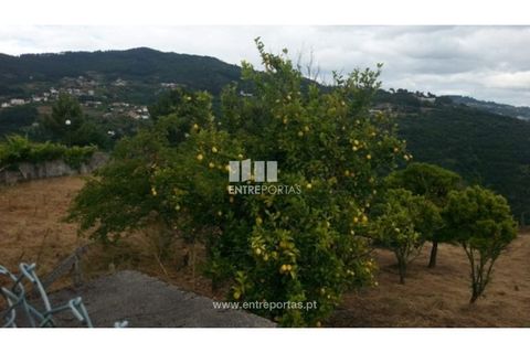 Helårsgrund i Baiao, Porto, Baiao - € 45.000 | Ref: MC05874 - foto 3