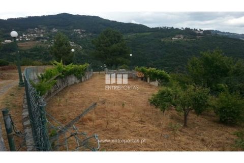 Helårsgrund i Baiao, Porto, Baiao - € 45.000 | Ref: MC05874 - foto 4