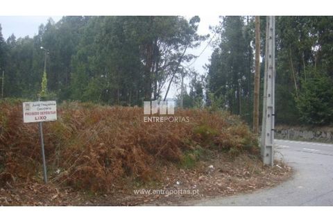 Terra a Barroselas, Viana do Castelo, Barroselas - € 45.000 | Ref: VCM10672 - foto 3