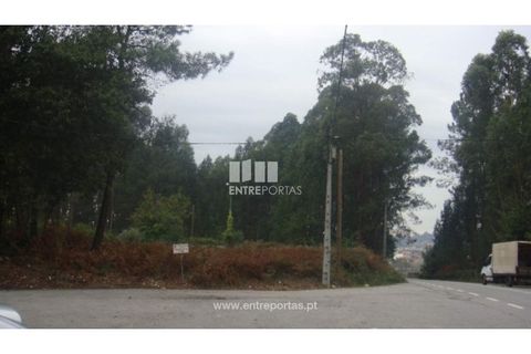 Terra a Barroselas, Viana do Castelo, Barroselas - € 45.000 | Ref: VCM10672 - foto 7