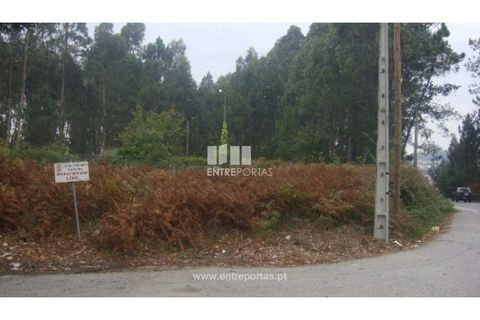 Terra a Barroselas, Viana do Castelo, Barroselas - € 45.000 | Ref: VCM10672 - foto 8