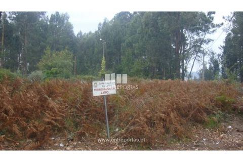 Terra a Barroselas, Viana do Castelo, Barroselas - € 45.000 | Ref: VCM10672 - foto 12