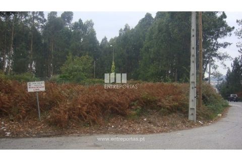 Terra a Barroselas, Viana do Castelo, Barroselas - € 45.000 | Ref: VCM10672 - foto 19