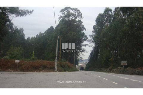 Terra a Barroselas, Viana do Castelo, Barroselas - € 45.000 | Ref: VCM10672 - foto 21