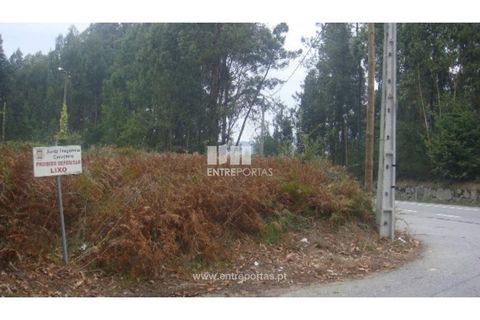 Terra a Barroselas, Viana do Castelo, Barroselas - € 45.000 | Ref: VCM10672 - foto 22