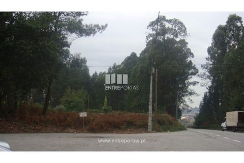 Terra a Barroselas, Viana do Castelo, Barroselas - € 45.000 | Ref: VCM10672 - foto 26