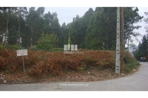 Terra a Barroselas, Viana do Castelo, Barroselas - € 45.000 | Ref: VCM10672 - foto 30