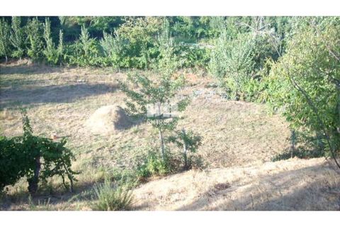Terra a Cinfaes, Viseu, Cinfaes - € 23.500 | Ref: MC05973 - foto 2