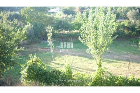 Terra a Cinfaes, Viseu, Cinfaes - € 23.500 | Ref: MC05973 - foto 4