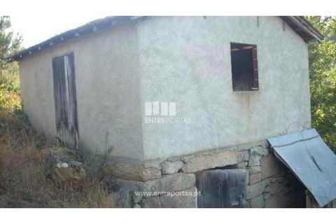 Terra a Cinfaes, Viseu, Cinfaes - € 23.500 | Ref: MC05973 - foto 5
