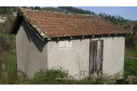 Terra a Cinfaes, Viseu, Cinfaes - € 23.500 | Ref: MC05973 - foto 7
