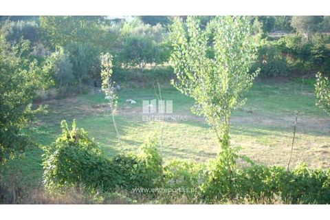 Terra a Cinfaes, Viseu, Cinfaes - € 23.500 | Ref: MC05973 - foto 8