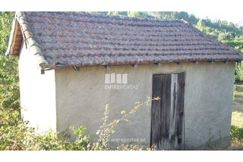 Terra a Cinfaes, Viseu, Cinfaes - € 23.500 | Ref: MC05973 - foto 9