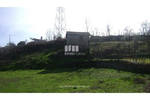Terra a Cinfaes, Viseu, Cinfaes - € 23.500 | Ref: MC05973 - foto 10