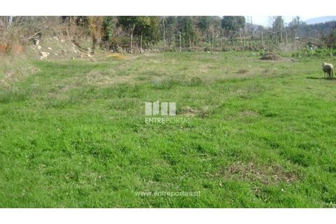 Terra a Cinfaes, Viseu, Cinfaes - € 23.500 | Ref: MC05973 - foto 11