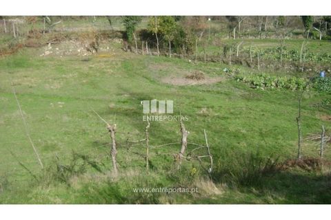 Terra a Cinfaes, Viseu, Cinfaes - € 23.500 | Ref: MC05973 - foto 13
