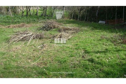 Terra a Cinfaes, Viseu, Cinfaes - € 23.500 | Ref: MC05973 - foto 15